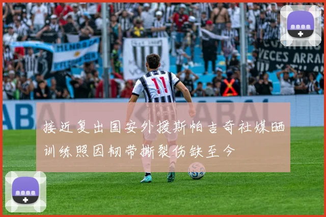 接近复出国安外援斯帕吉奇社媒晒训练照因韧带撕裂伤缺至今
