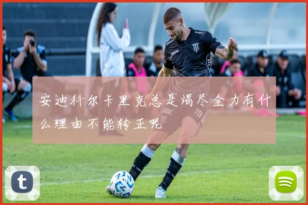 安迪科尔卡里克总是竭尽全力有什么理由不能转正呢