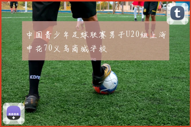 中国青少年足球联赛男子U20组上海申花70义乌商城学校
